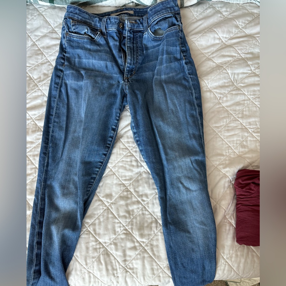 Joes High Rise Skinny Jeans